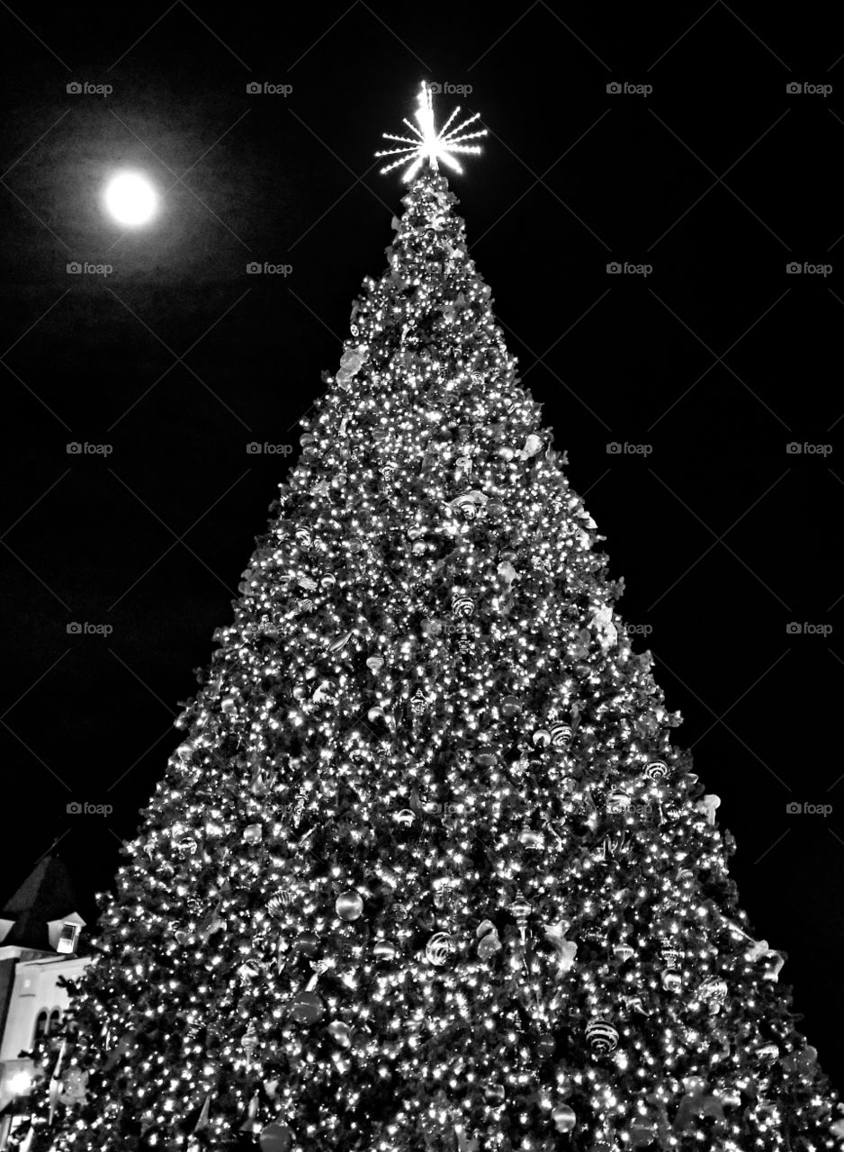 A black and white photo of a very large Christmas tree accompanied by the nearly full moon.
