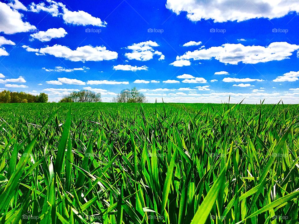 Captured with iPhone 6s Plus 