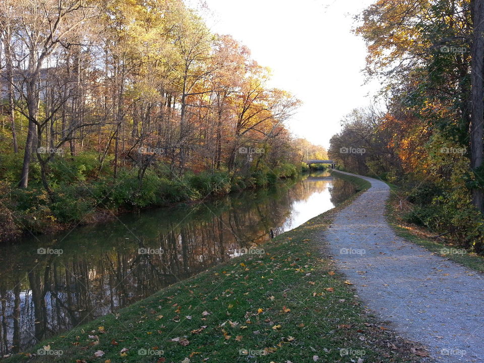 Fall in Indianapolis 