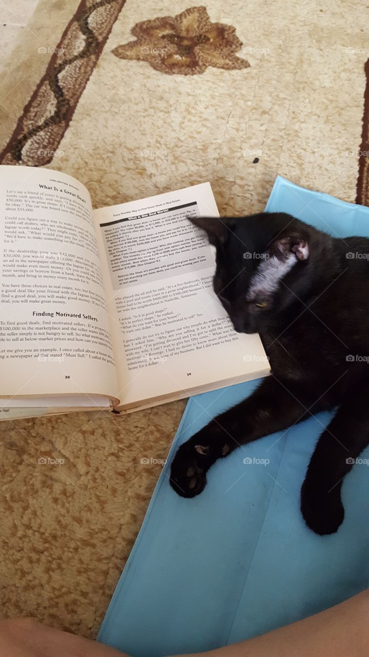 relaxing on a book