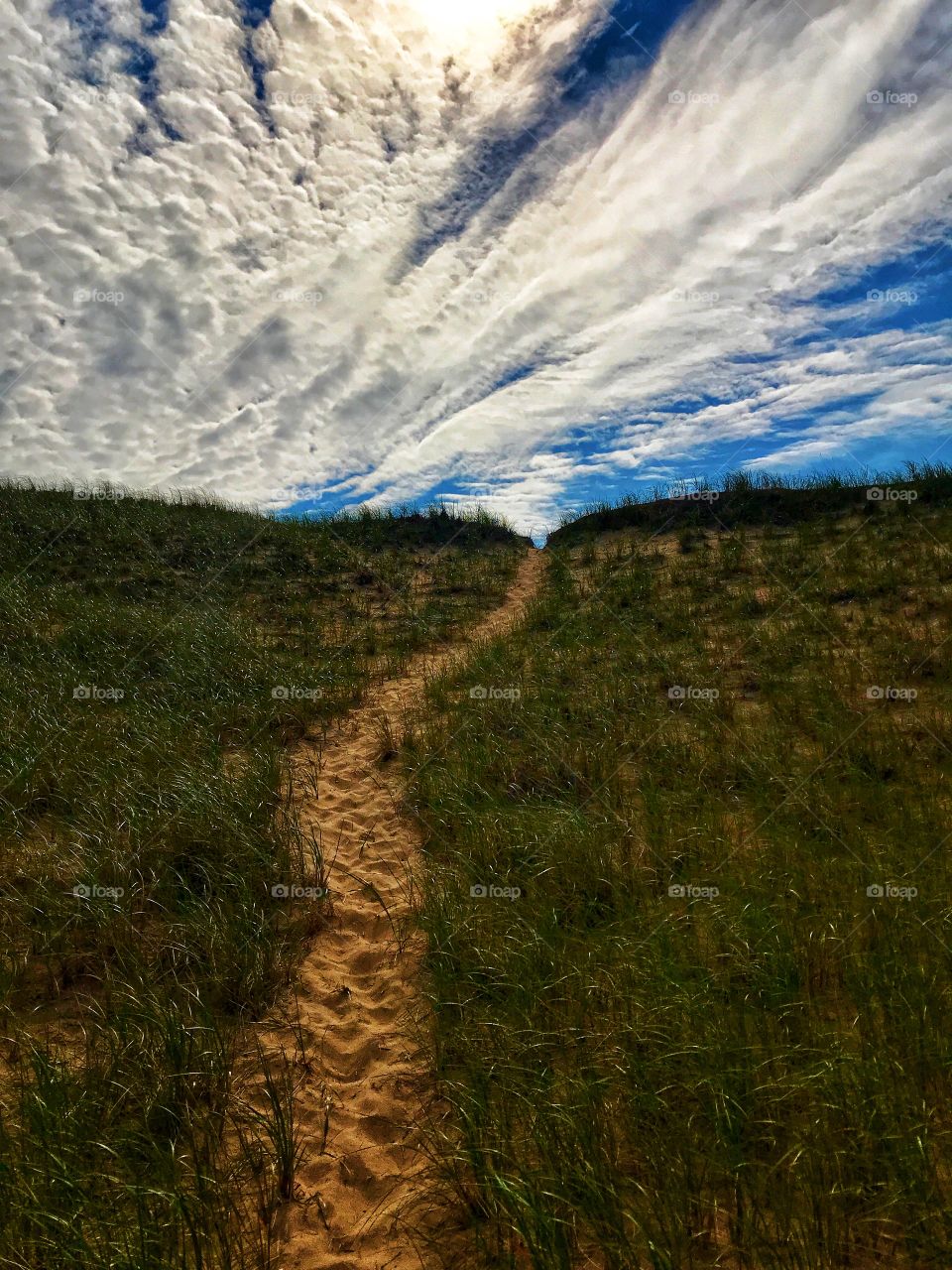 A path going up a sand dune—taken in Ludington, Michigan 