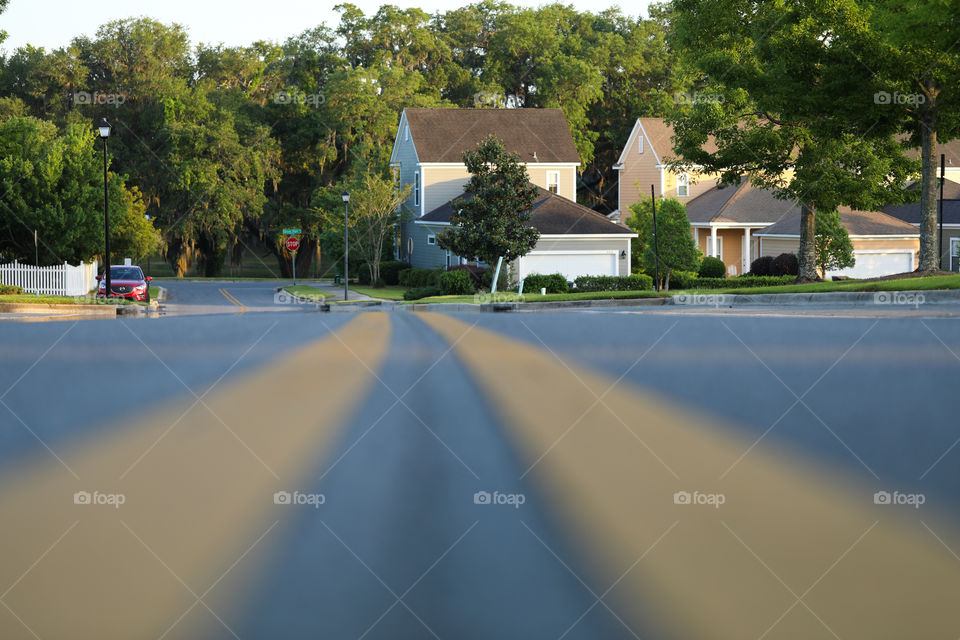 Double lane yellow lines on a road to woods in Florida