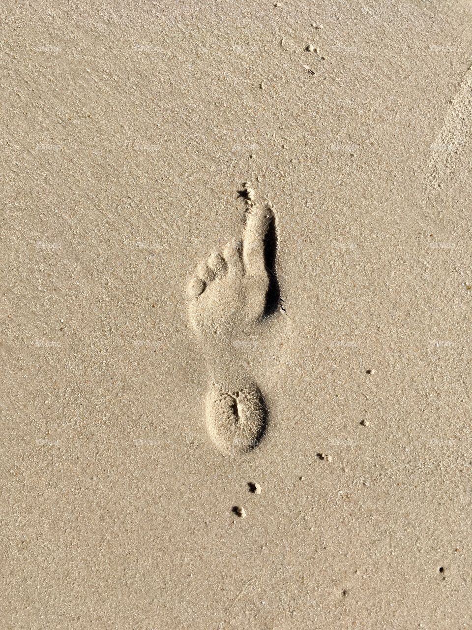 Sylt.North Sea.Trail