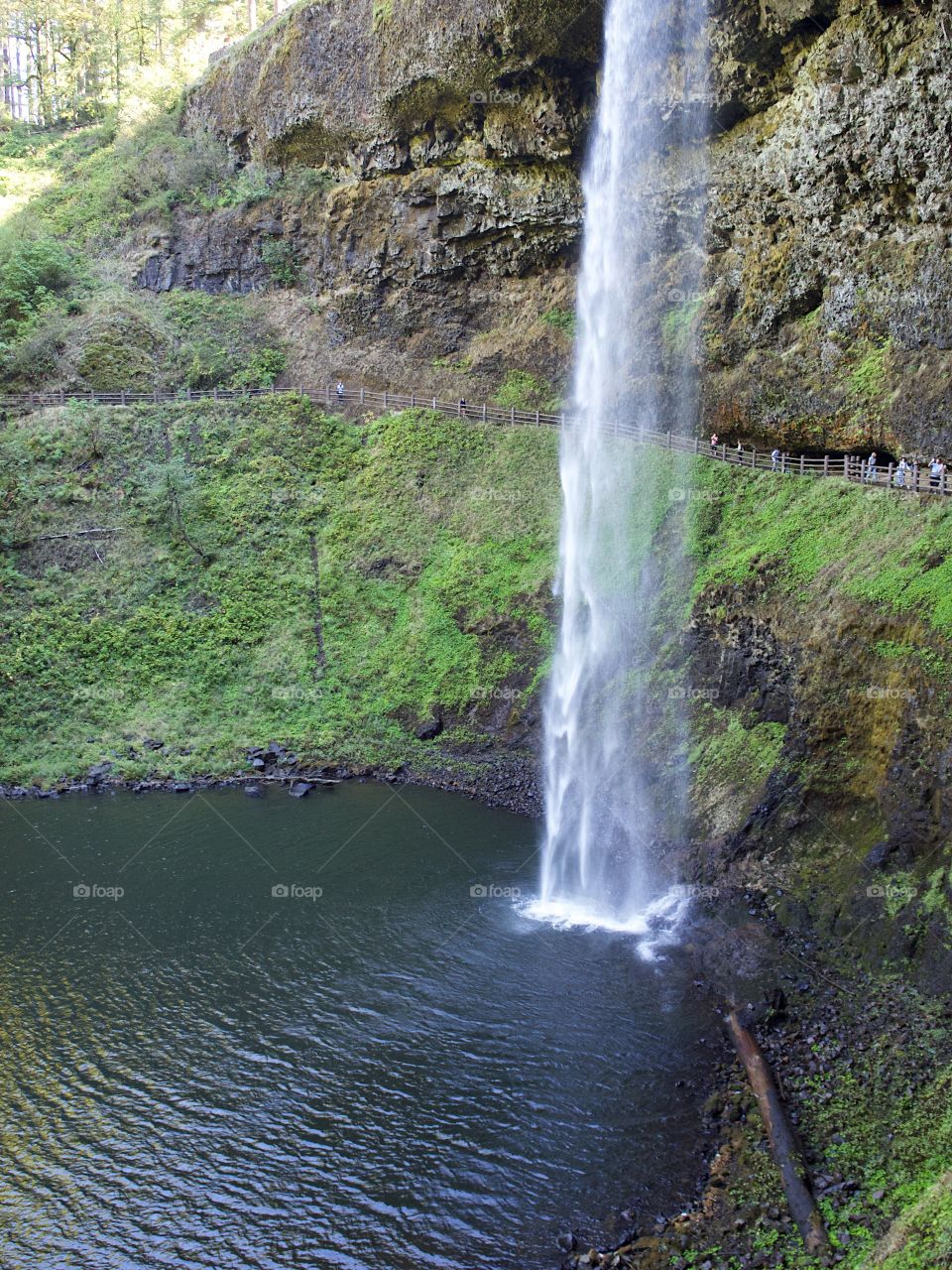 South Falls in Silver Falls State Park in Western Oregon goes over its textured cliff on a fall day. 