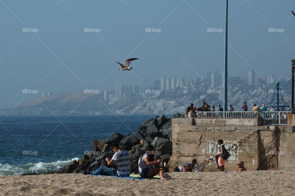 Lo que describe a Viña del Mar