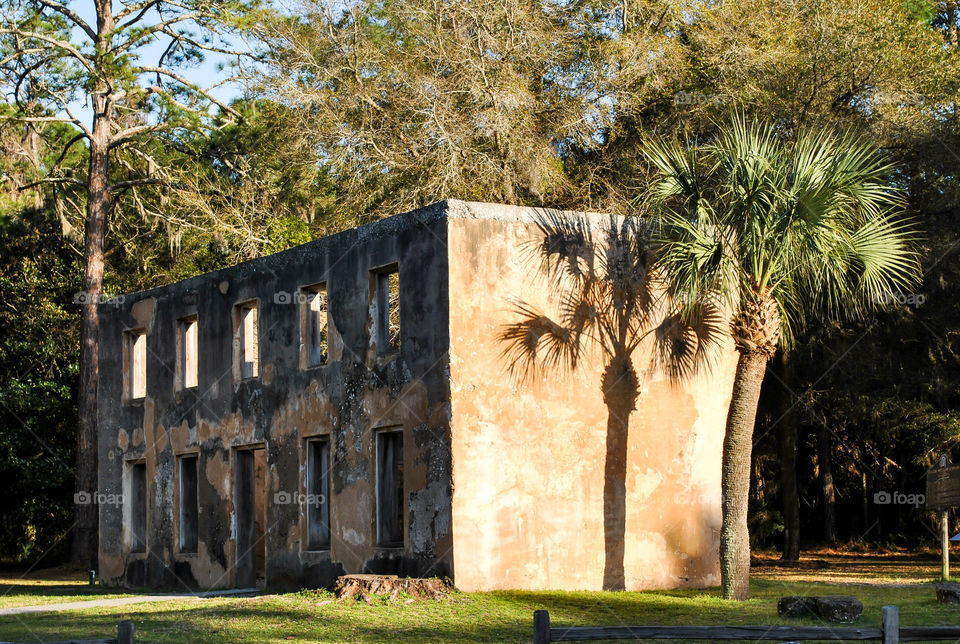 Palm tree shadow at historical site