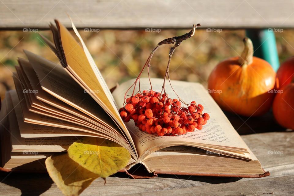 autumn still life