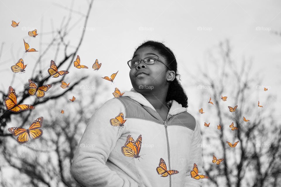 butterflies on the park