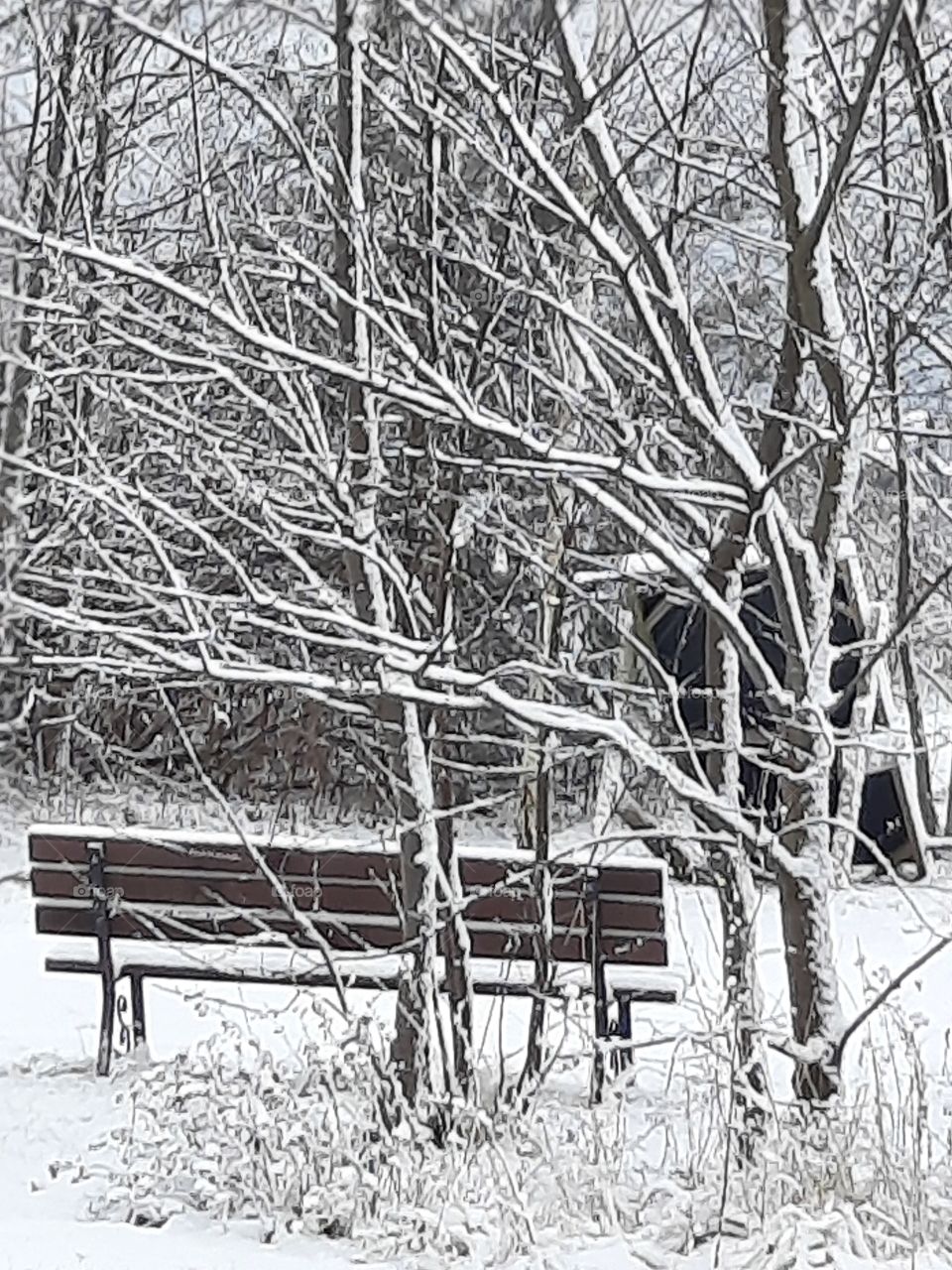 winter nature - fresh snow on trees and a bench