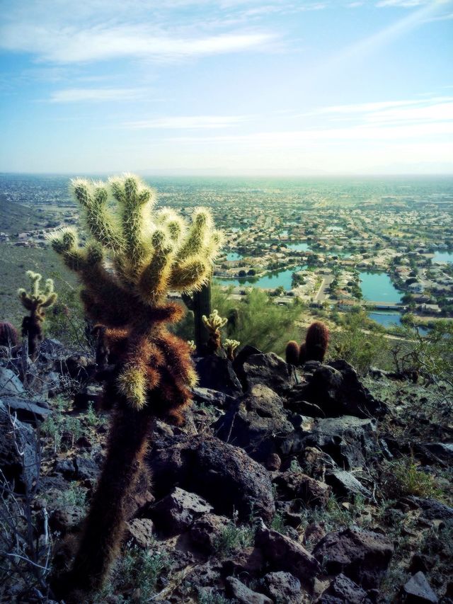 Desert view