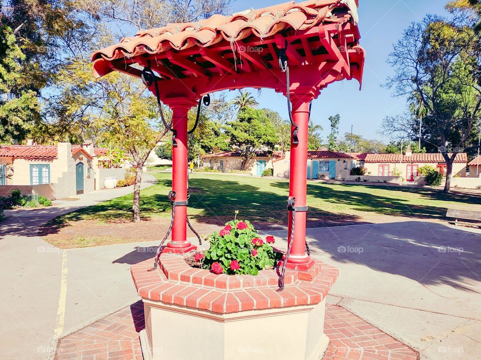 The Small Things That Bloom