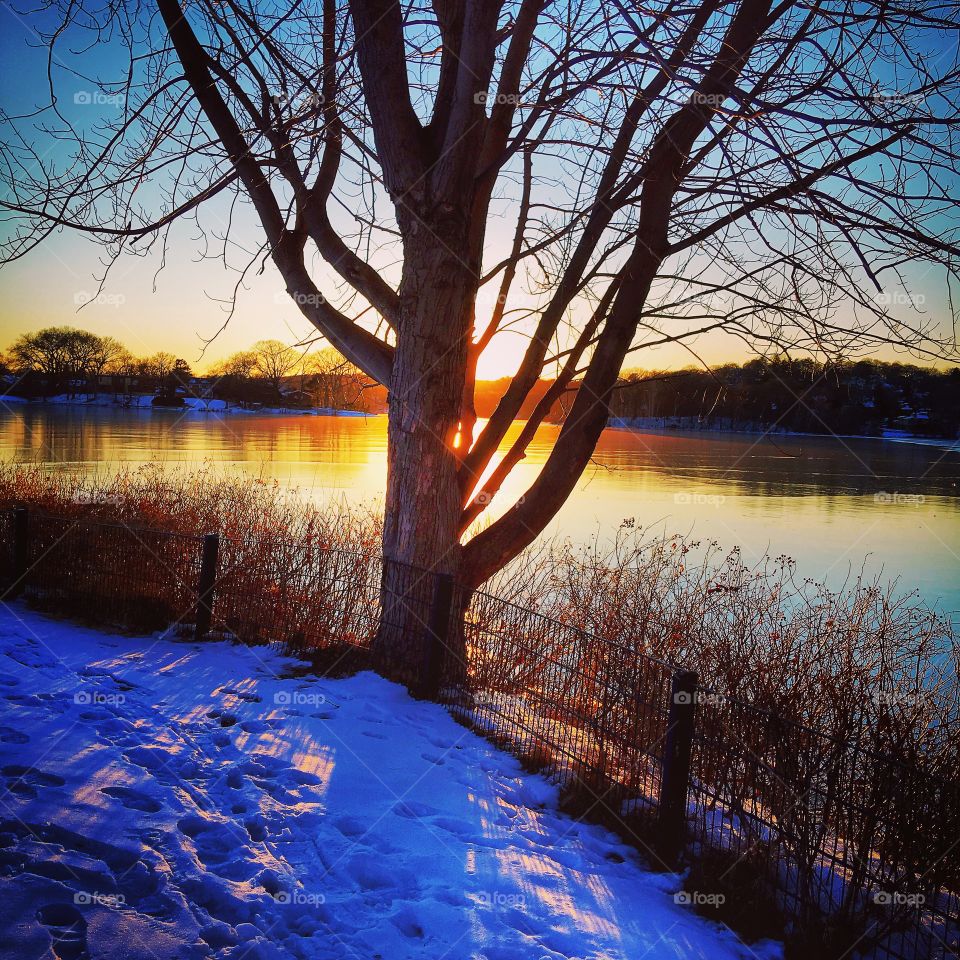 Sunset through the trees 