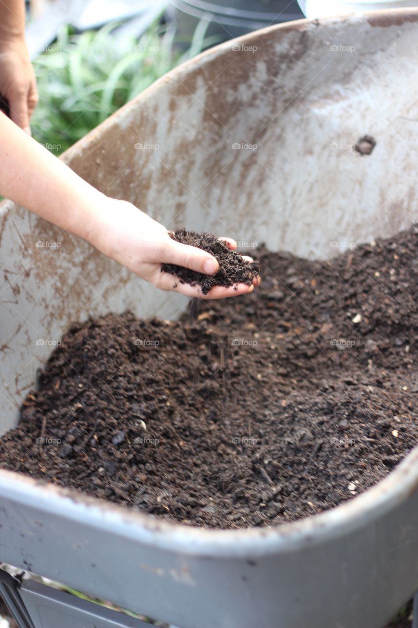 Composted soil

