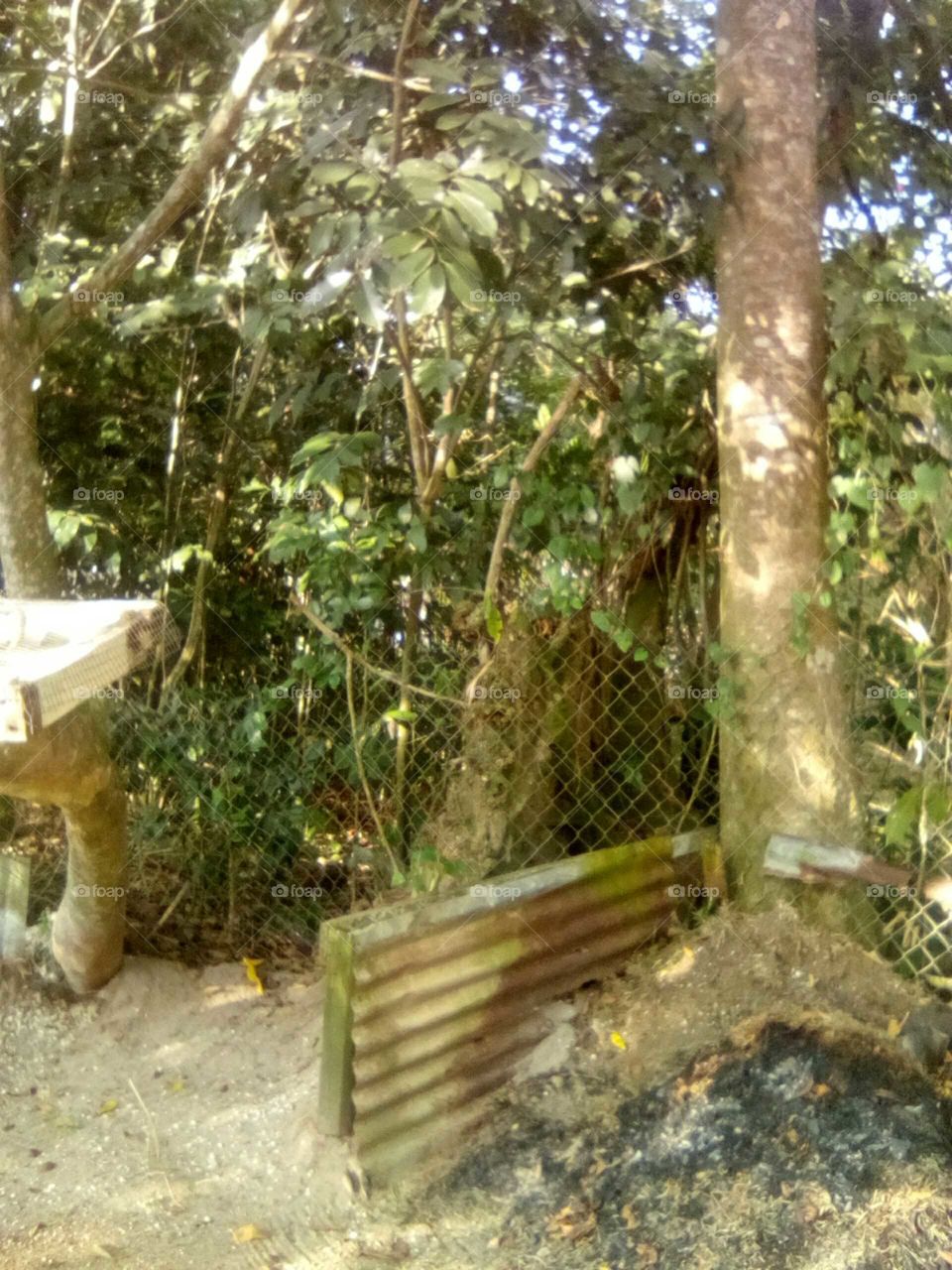 really looking forward to hearing back from you soon love you nature