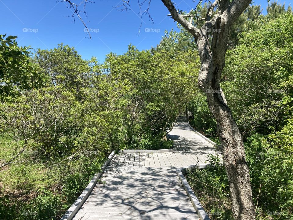 Beautiful wooden pathway in park