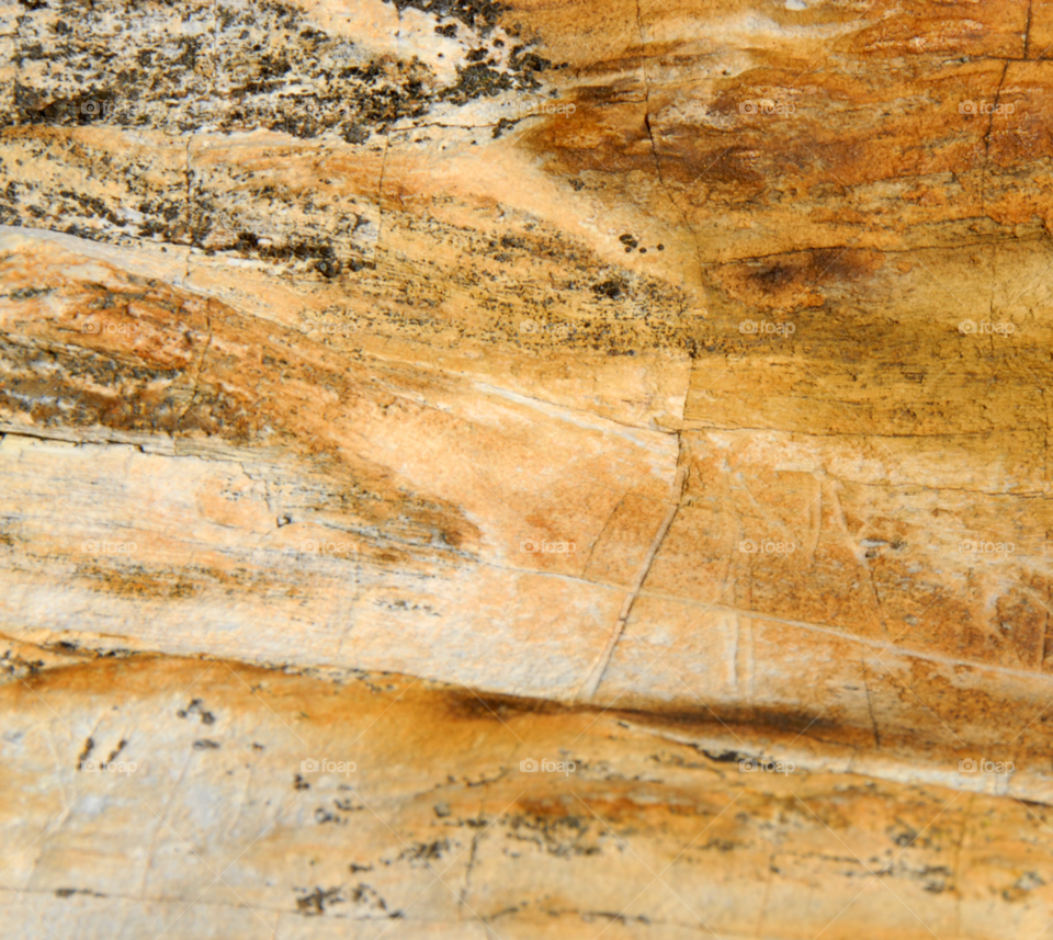 macro pattern wood tree by lightanddrawing