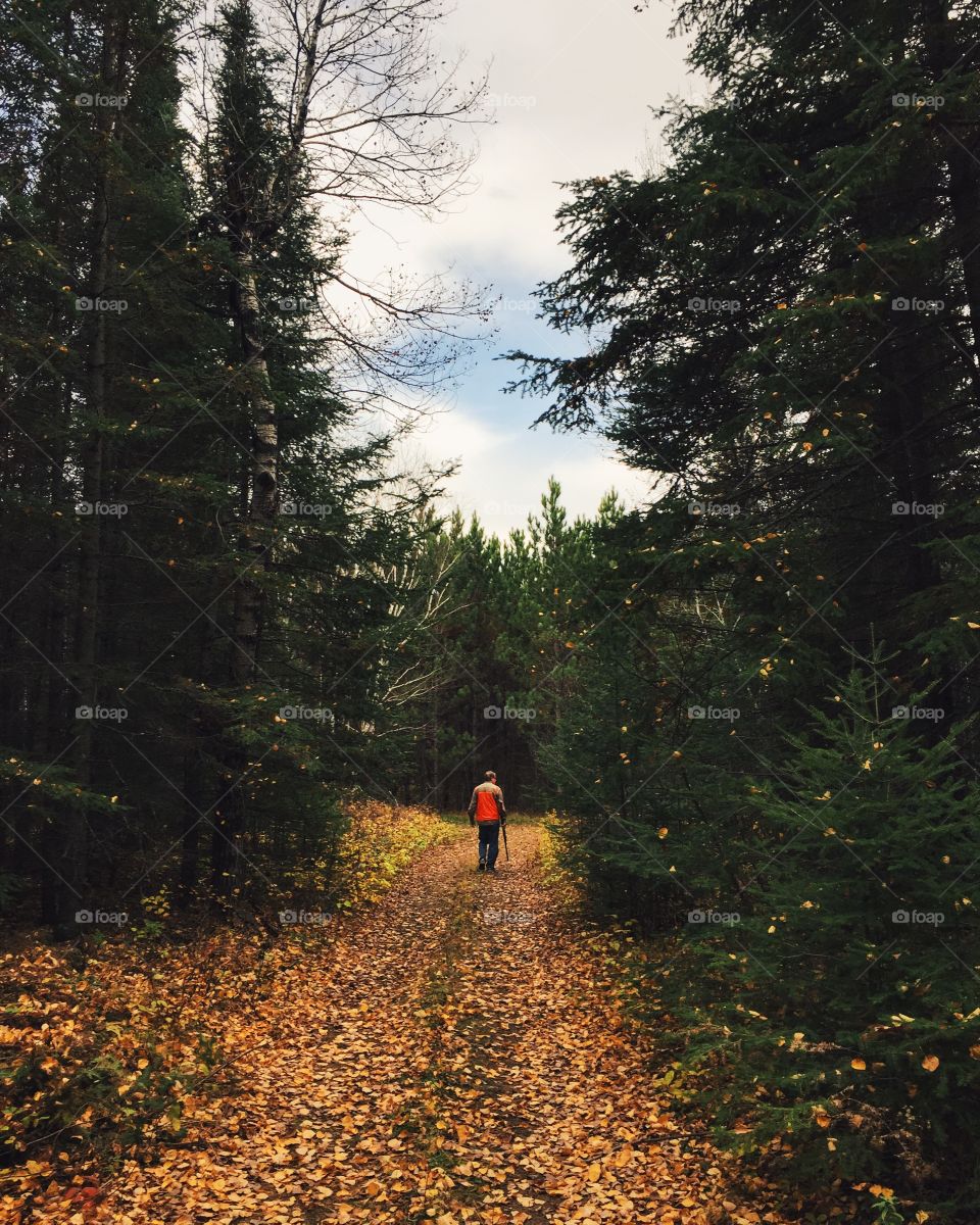 Hunter in autumn forest