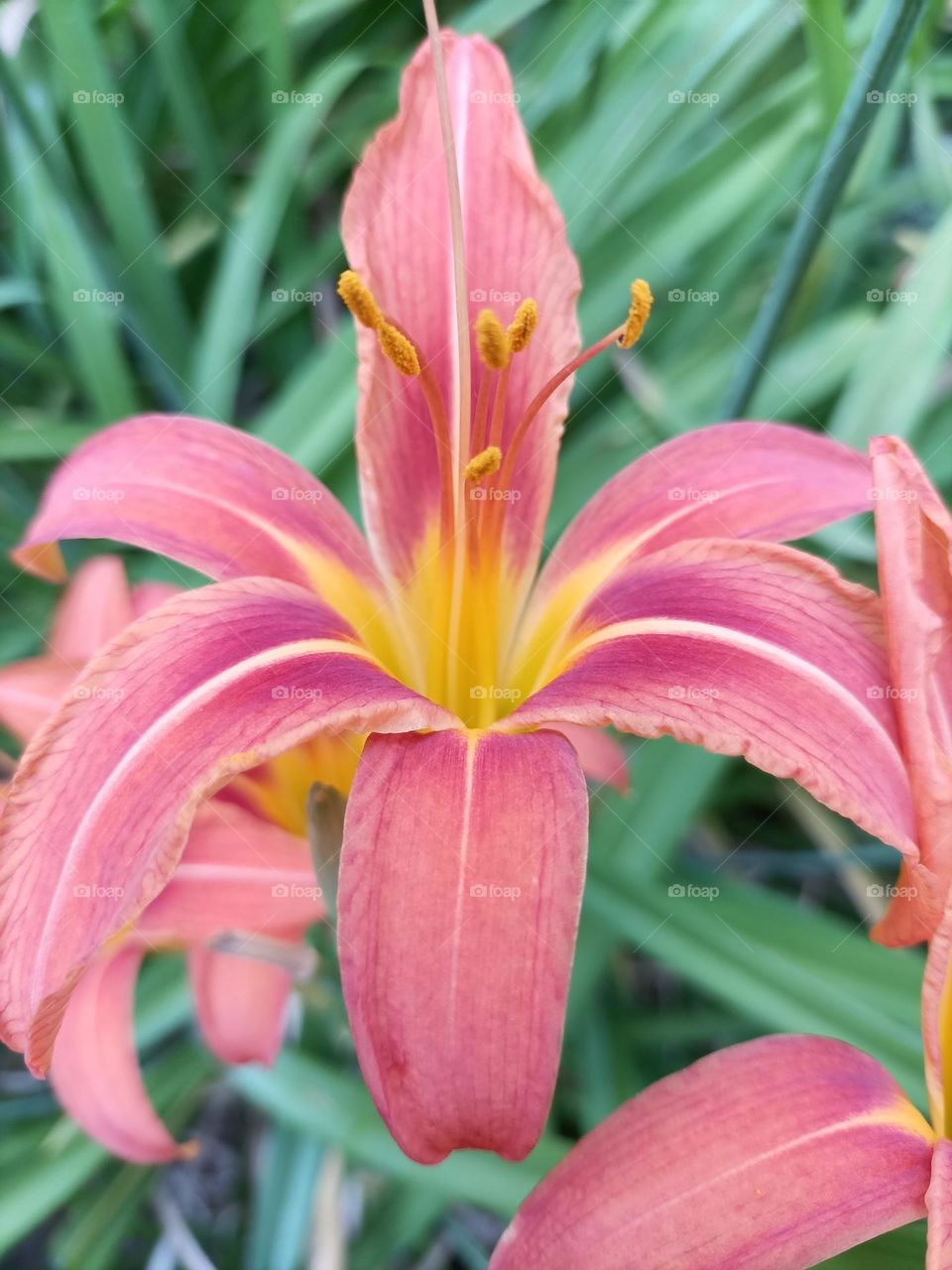 The beauty in nature