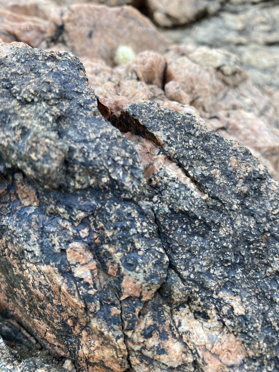 Taif mountains ⛰ rocks ,desert , amazing herbal 