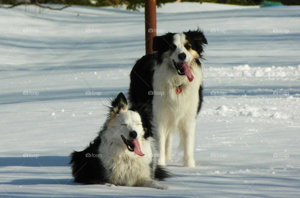 Mother And Son