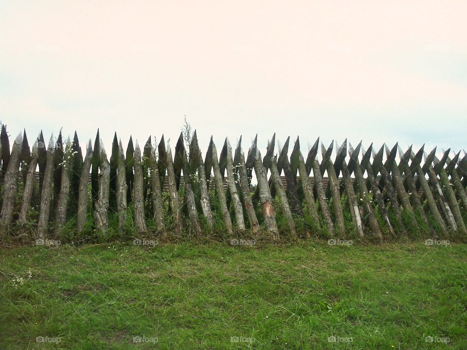 Fence 