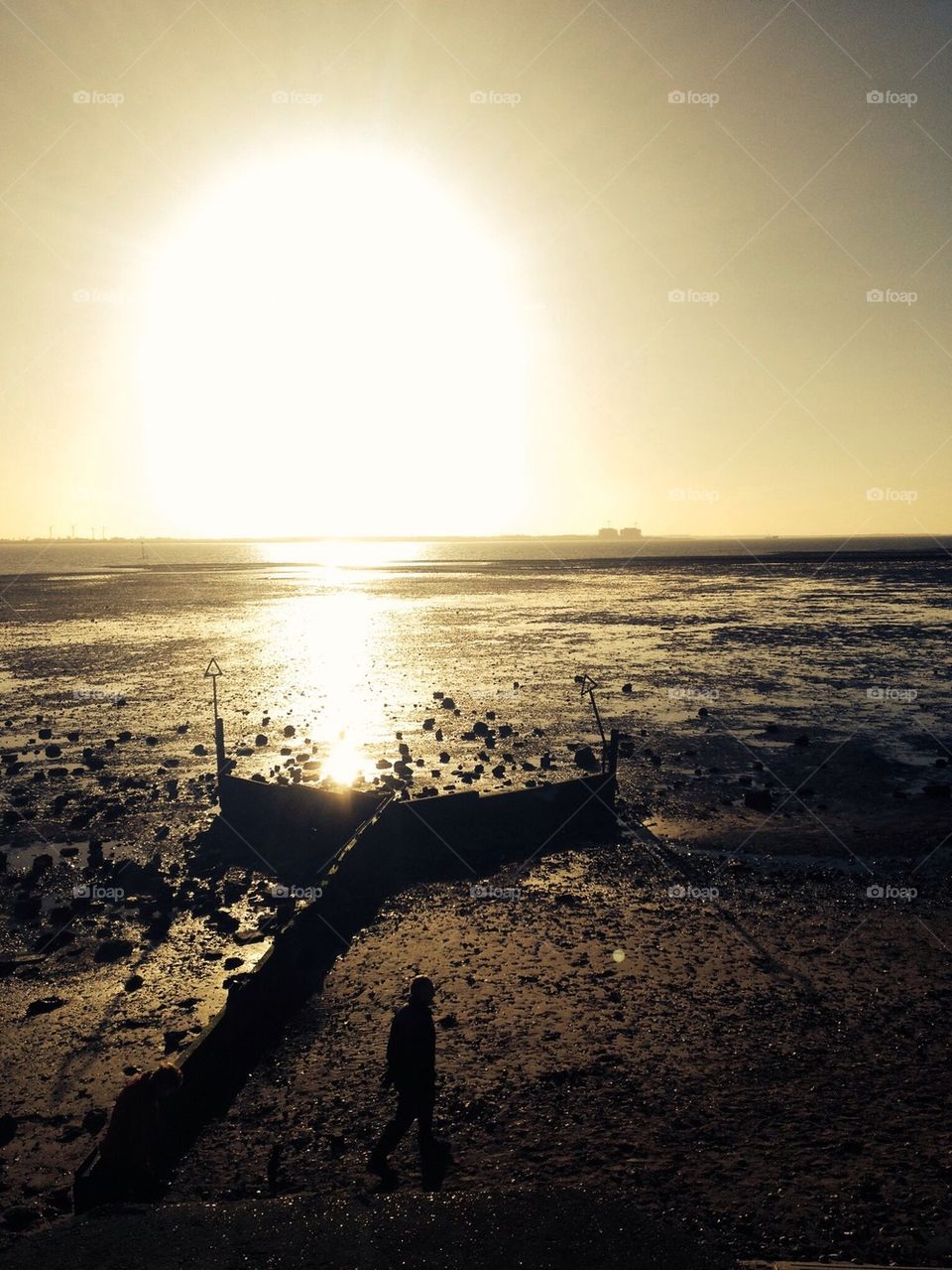 Winter mersea island