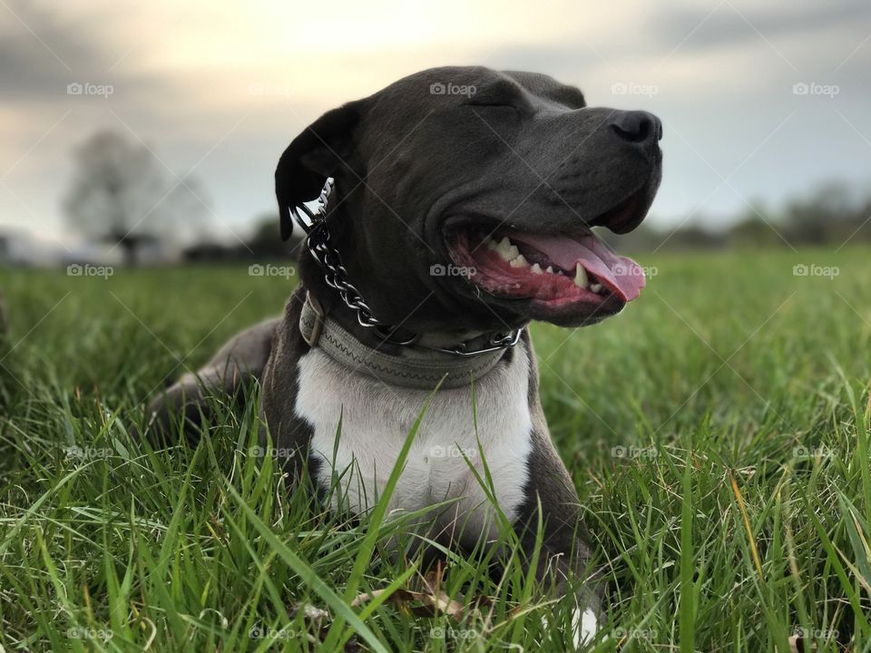 Enjoy day in the grass