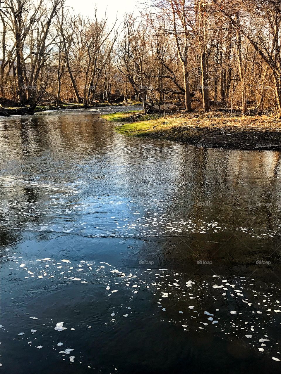 Morning on the creek