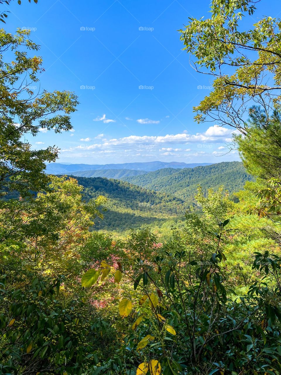 Looking out over the Blue Ridge Mountains from a trail on the Blue Ridge Parkway in Virginia 