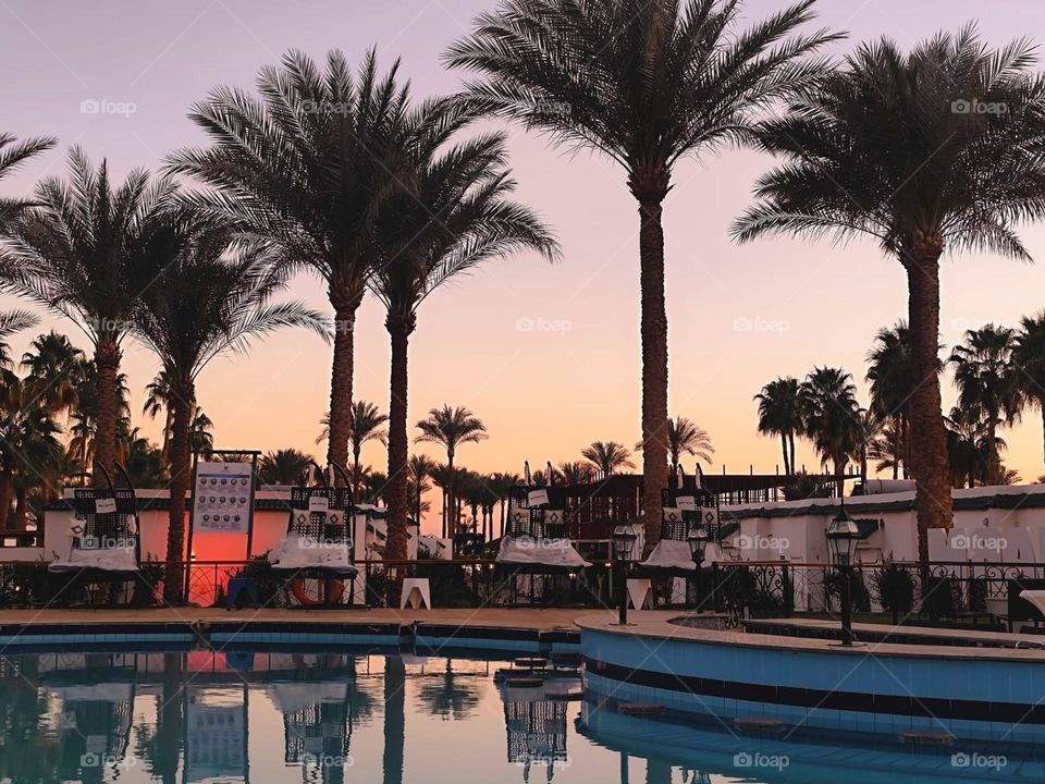 A beautiful evening at sunset!