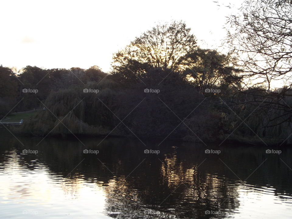 Lake At Dusk