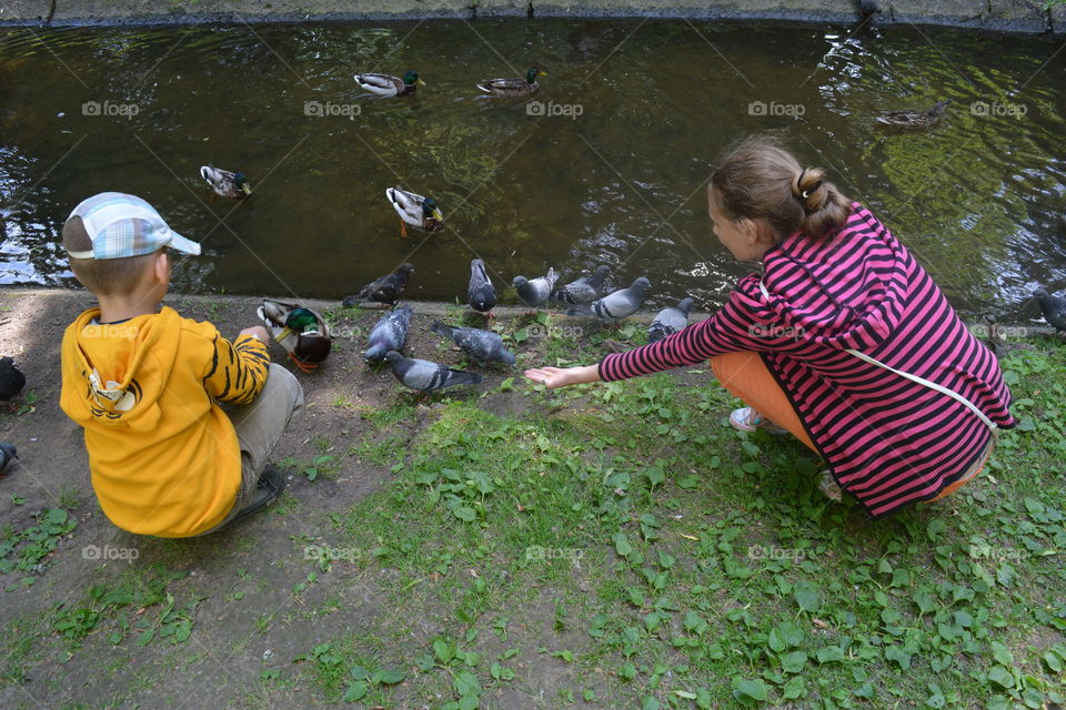 children and birds in the summer city park, family time