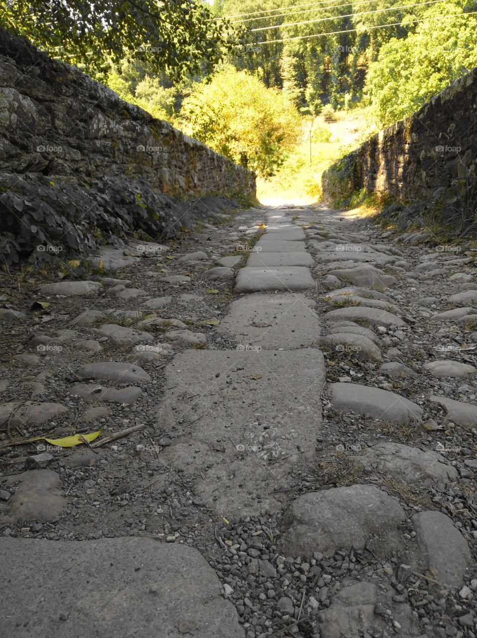 color vs black and white