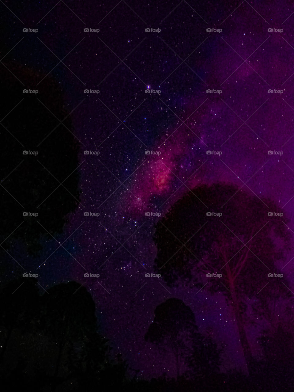 beautiful of the night sky