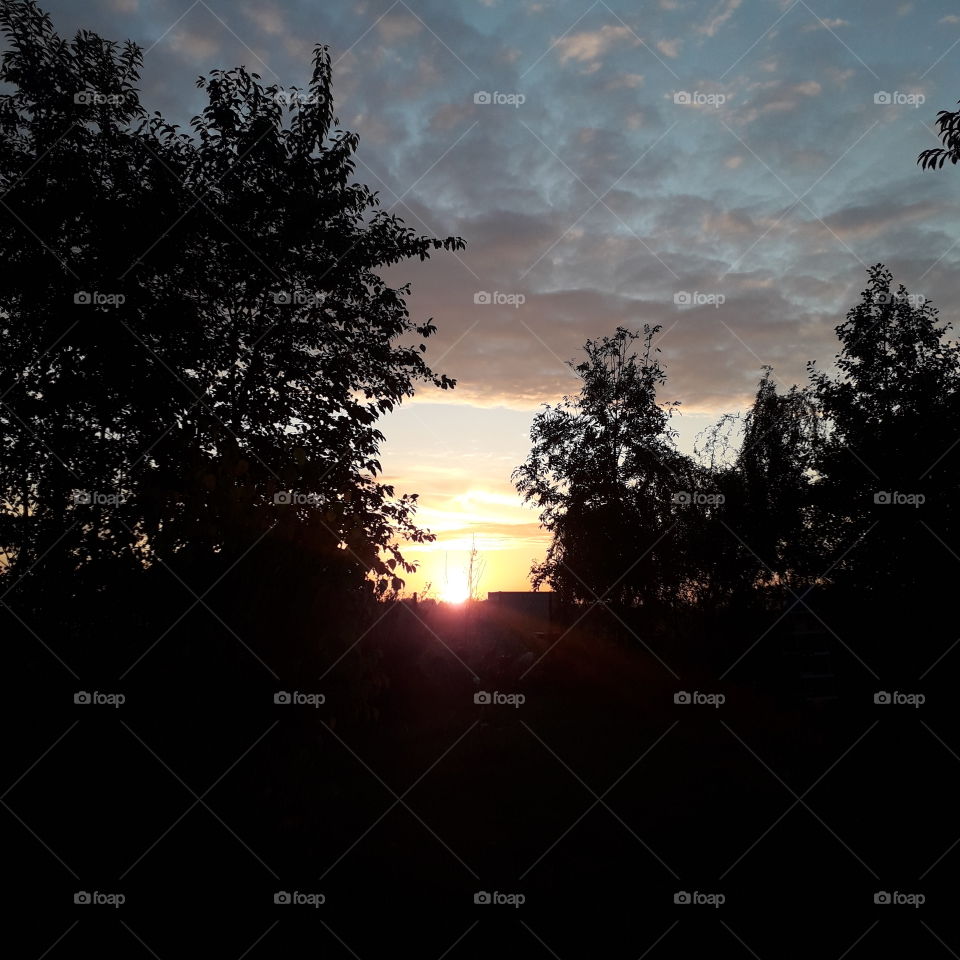 sky clouds and silhouettes of trees at sunrise