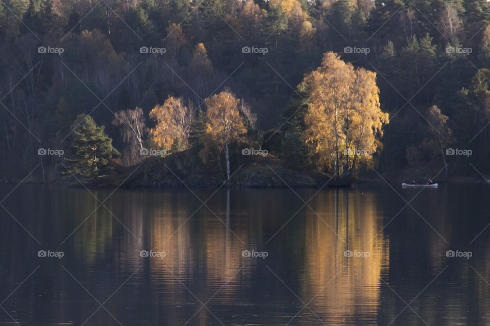 Reflection of autumn trees on lake