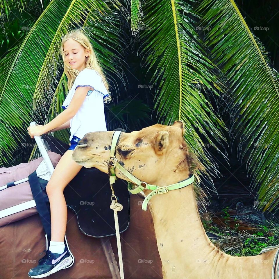 Adventure. Experience. Surreal.