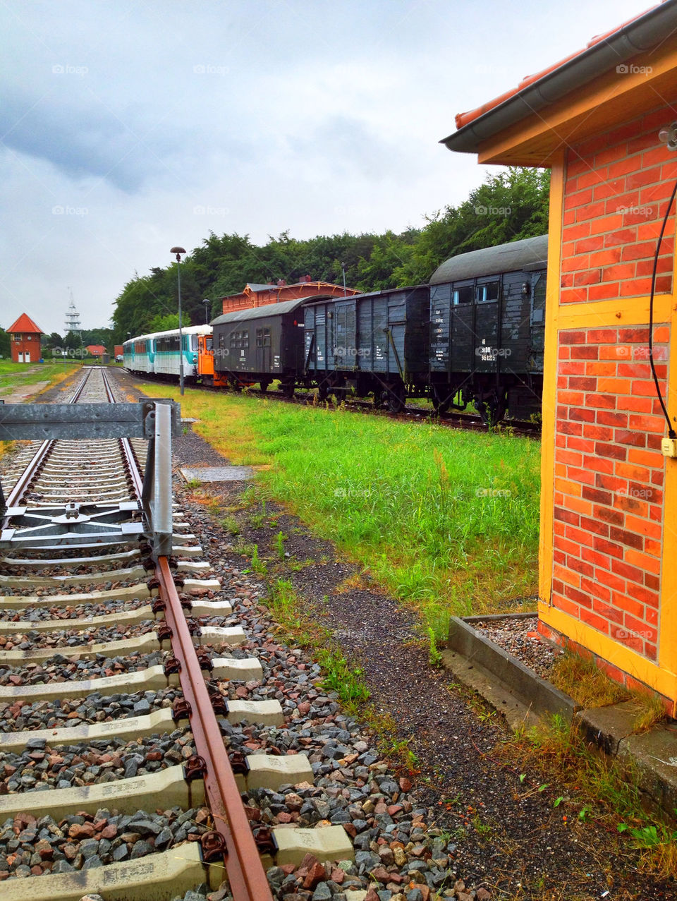 grass train railway germany by cyrano
