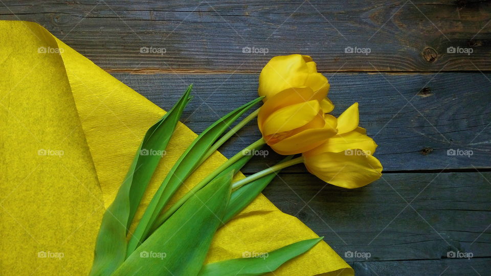 yellow tulips