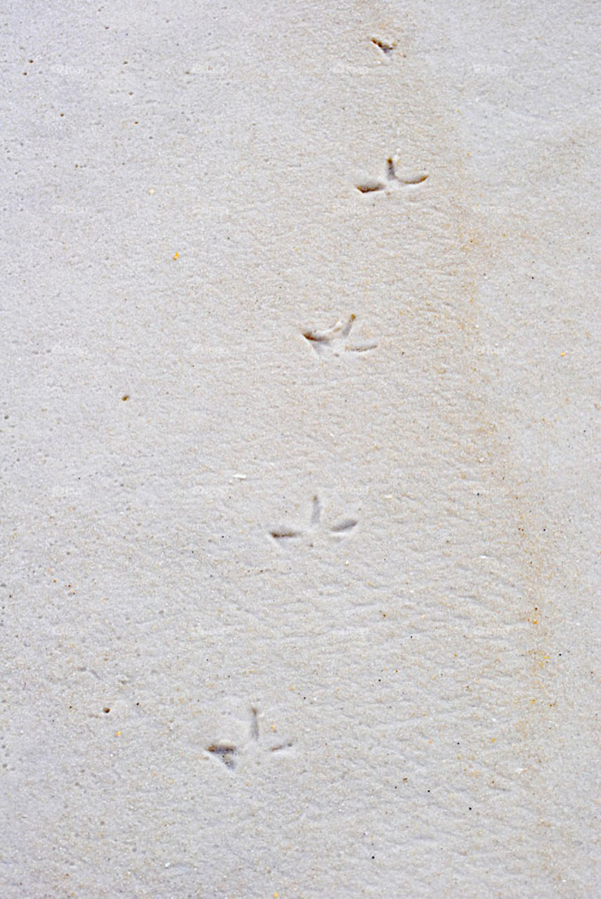 Footprints