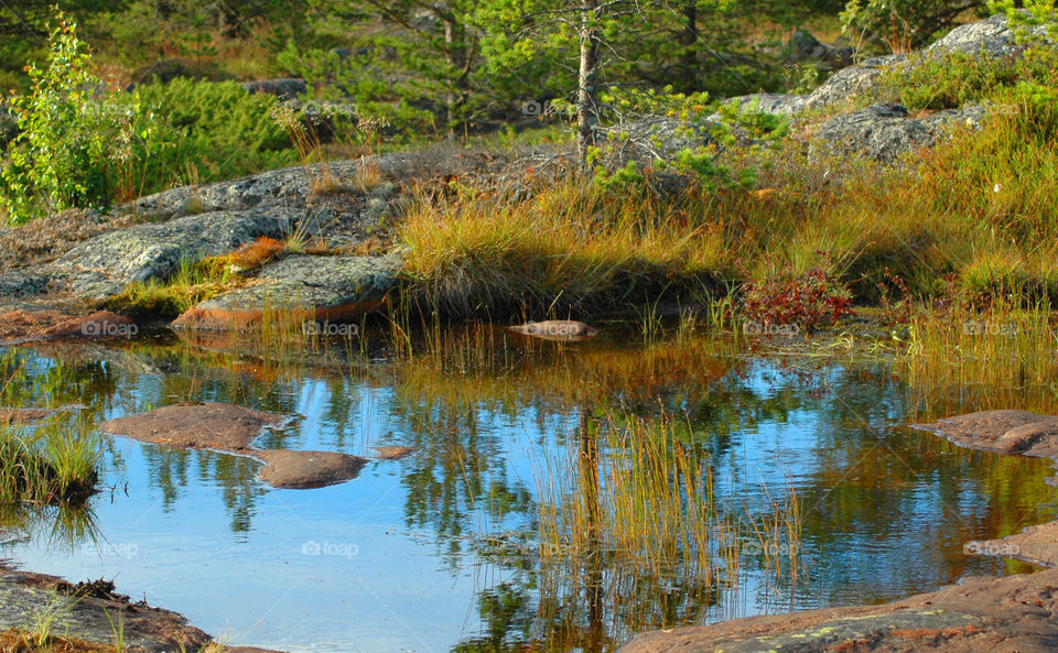 autum rain reflexion