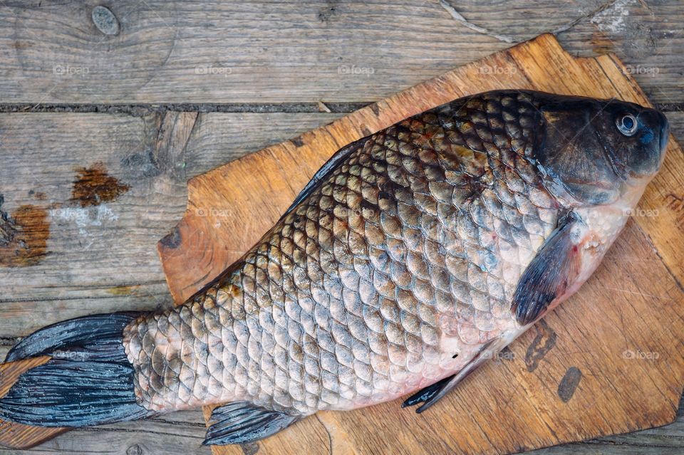 Closeup of fresh fish