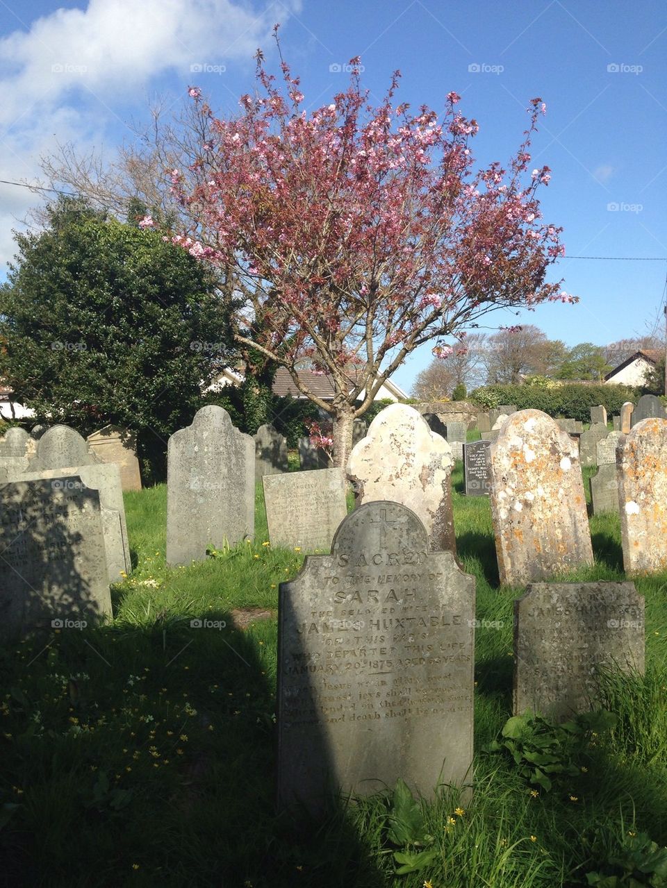 Devon Graveyard