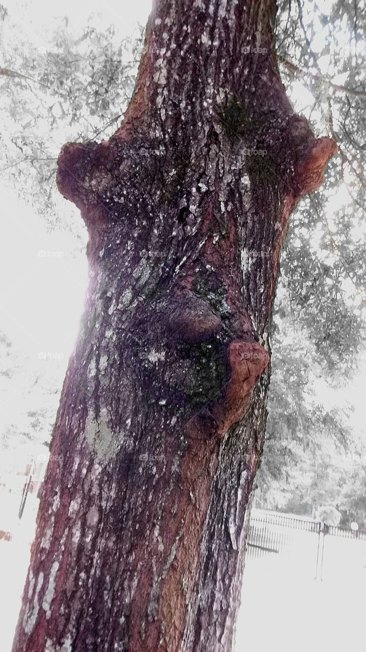 sometimes I feel like somebody's watching me