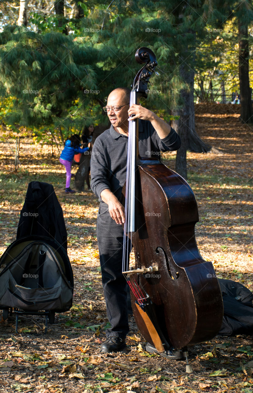 double bass