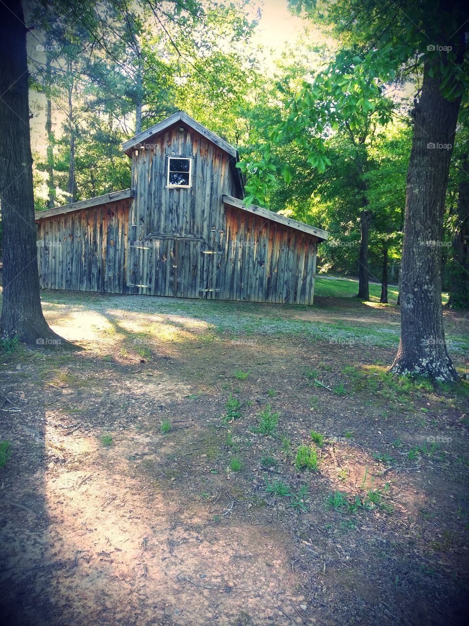 Barn