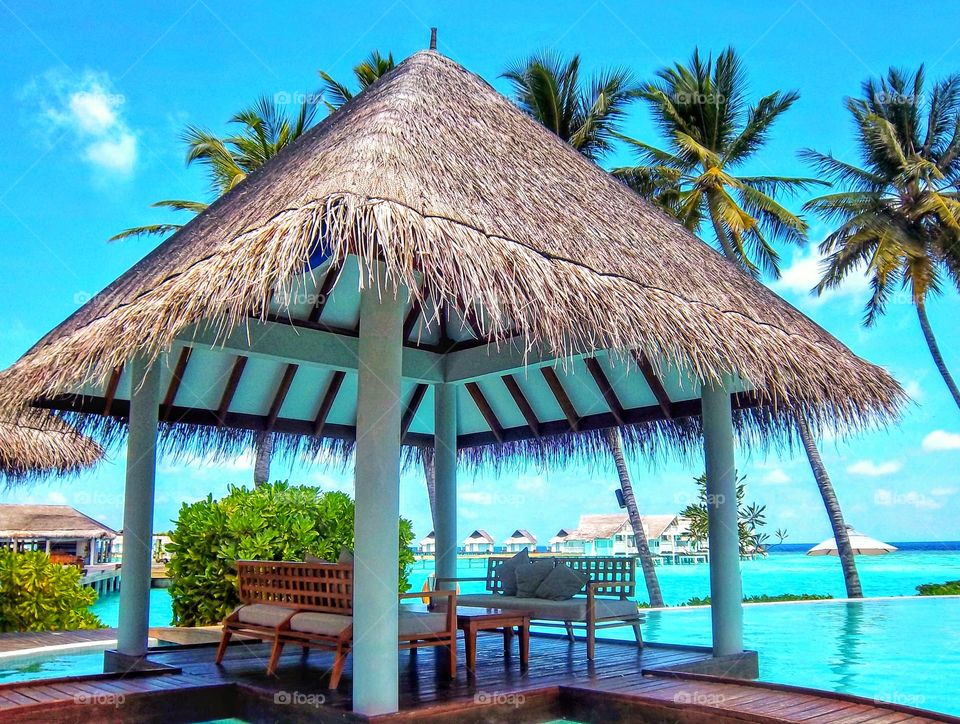 Relaxing hut beside swimming pool at Maldives beachfront with coconut tree blue sea and bluesky background 