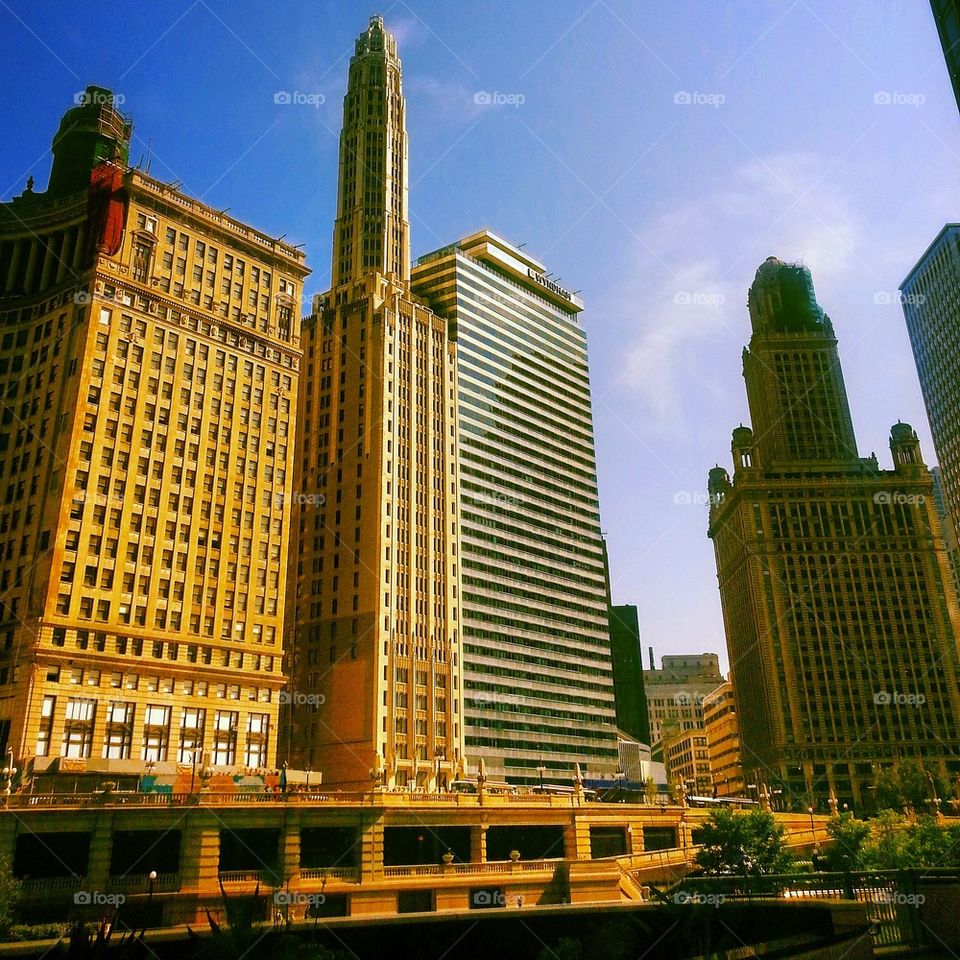 Mather Tower Riverside 