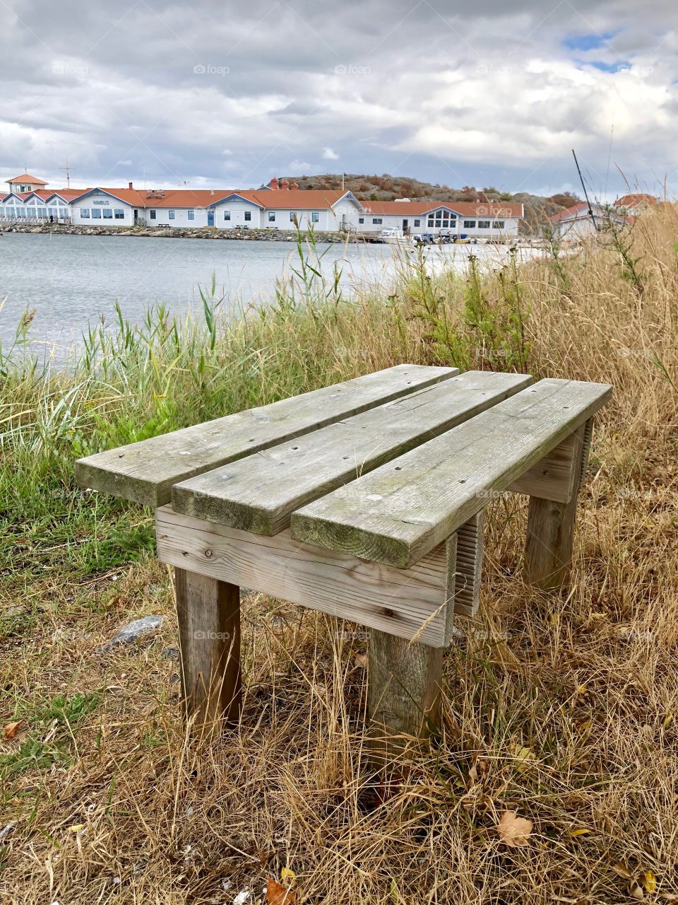 The bench to peace 