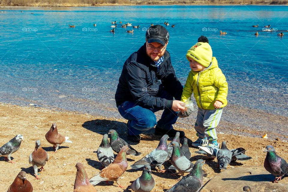 Father and son near lake side feeding flock of pigeon